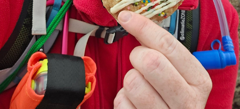 Rescue Initiated by ACR PLB After Head Injury on Remote Family Hike